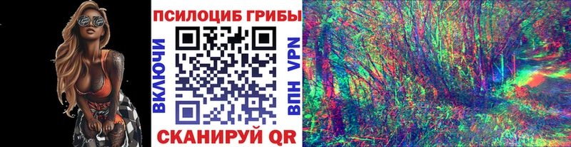 Галлюциногенные грибы Cubensis  Купить закладки  Вольск 
